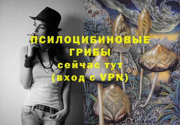 молекула духа Армянск