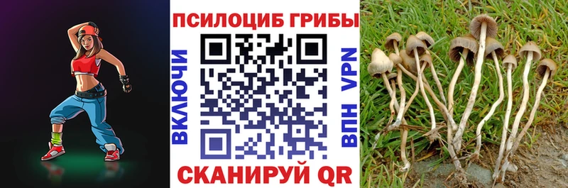 купить  цена  Ярцево  darknet какой сайт  Галлюциногенные грибы Psilocybine cubensis 